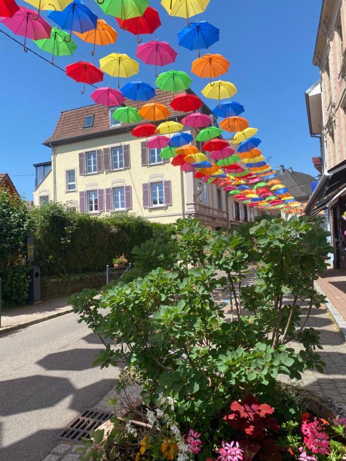 Meubles De La Doller, Les Canards Apartment Masevaux-Niederbruck ภายนอก รูปภาพ
